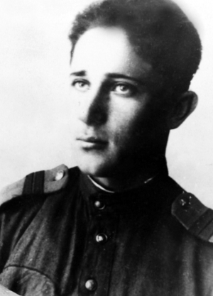 Белоусов Владилен Петрович (1926–2019)