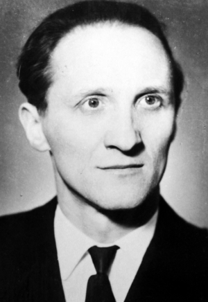 Волгин Владимир Иванович (1924-2001)