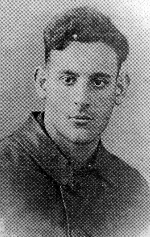 Перельман Абрам Израилевич (1917-1943)
