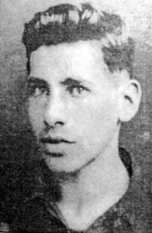 Железный Вениамин Абрамович (1918—1942)